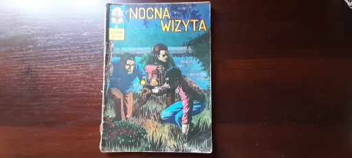 Zdjęcie oferty: NOCNA WIZYTA KOMIKS