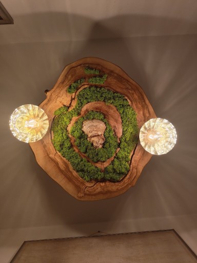 Zdjęcie oferty: Lampa wisząca z plastra orzecha włoskiego z mchem chrobotkiem sznur jutowy