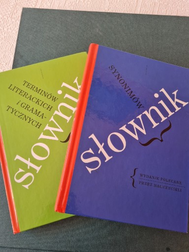 Zdjęcie oferty: Słownik synonimów terminów literackich i gramatycz