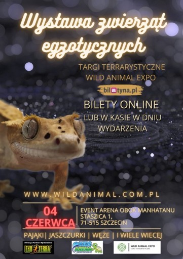 Zdjęcie oferty: Agama brodata, gekon lamparci, wąż zbożowy