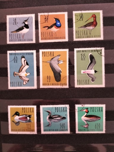 Zdjęcie oferty: Fi 1342-1350 z 1964 r.