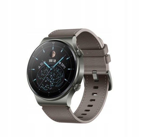 Zdjęcie oferty: Smartwatch Huawei Watch GT 2 Pro szary nowy gw