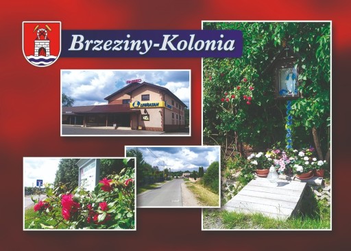 Zdjęcie oferty: Brzeziny-Kolonia, gmina Poczesna