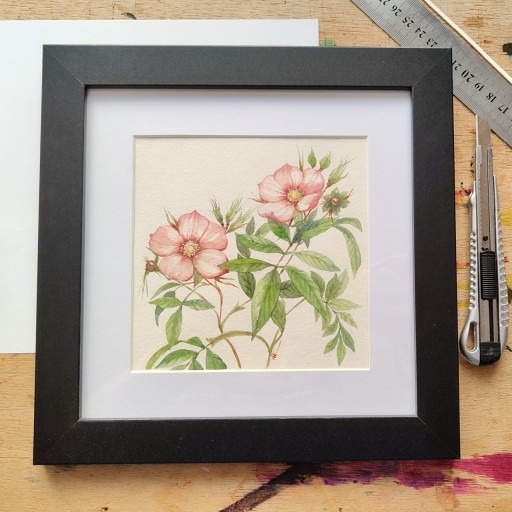 Zdjęcie oferty: obraz akwarela "Róże"