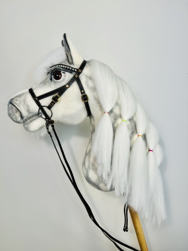 Zdjęcie oferty: Hobby horse Atlantyk