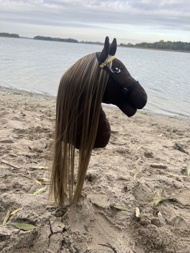 Zdjęcie oferty: Koń na kiju hobby horse