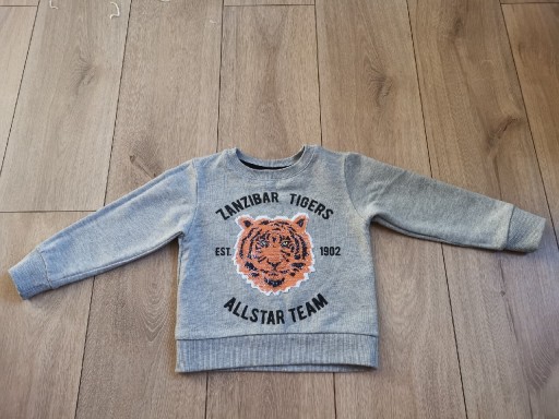 Zdjęcie oferty: Bluza H&M 104 cm szara z tygrysem cekiny zmieniane