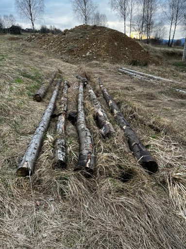 Zdjęcie oferty: Żerdzie stemple budowlane drewniane 5-7 metrów