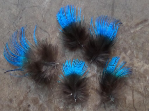 Zdjęcie oferty: Pióra piórka pawie ozdobne mini niebieskie