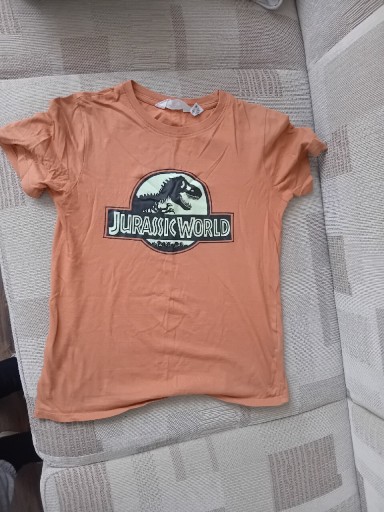 Zdjęcie oferty: T-shirt h&m chłopięcy 