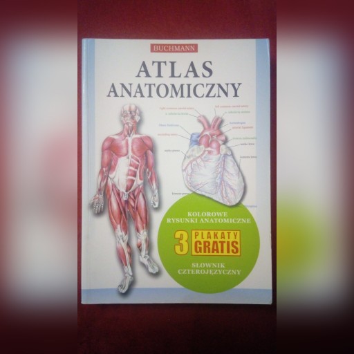 Zdjęcie oferty: Atlas anatomiczny