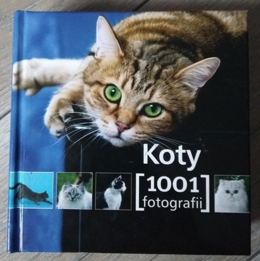 Zdjęcie oferty: Koty ( 1001 fotografii ) ...