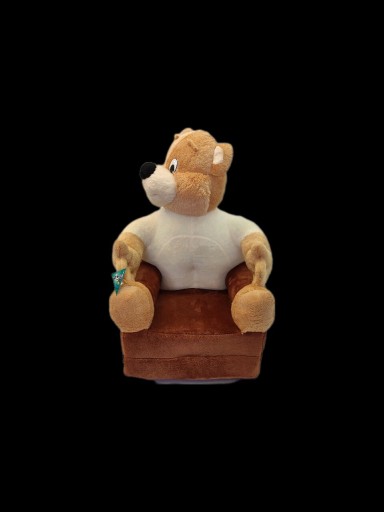 Zdjęcie oferty: Fotelik siedzisko materac miś pluszowy  BoboPlusz 