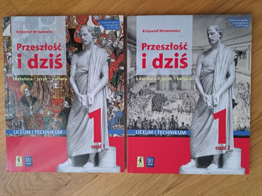 Zdjęcie oferty: Przeszłość i dziś 1 język polski cz.1+2 WSIP