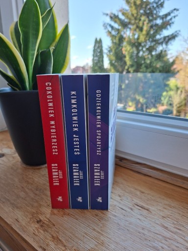 Zdjęcie oferty: Seria 3 papierowych książek Jakuba Szamałka: Ukryta sieć