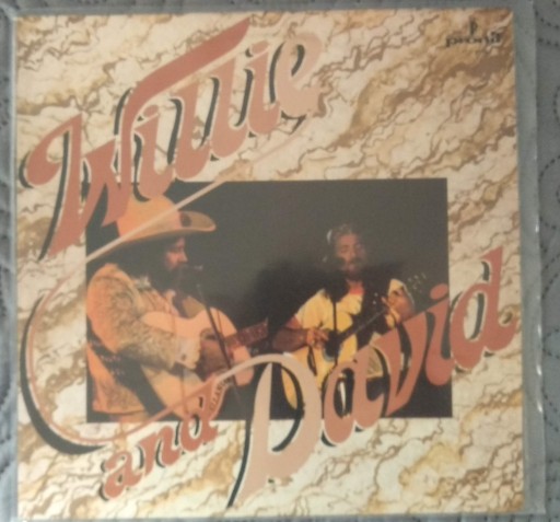 Zdjęcie oferty: Willie and David Allan Coe EX