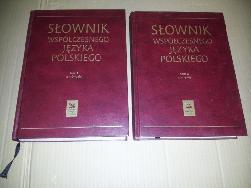 Zdjęcie oferty: Słownik Współczesnego Języka Polskiego Reader's