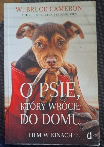 Zdjęcie oferty: O psie który wrócił do domu