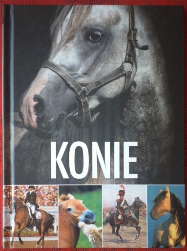 Zdjęcie oferty: konie Maria Kulisa - Konie