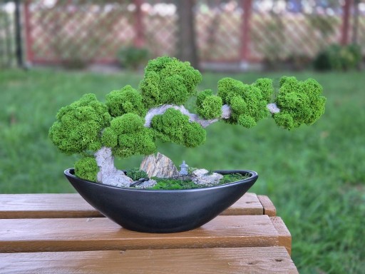 Zdjęcie oferty: Drzewo XL Bonsai Mech Chrobotek Dekoracja Długowieczne Dom Prezent