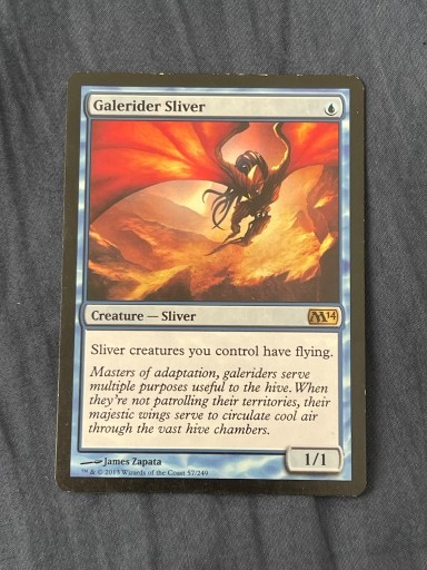 Zdjęcie oferty: Galerider Sliver