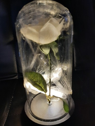 Zdjęcie oferty: Wieczna róża w szkle