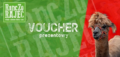 Zdjęcie oferty: VOUCHER- Spotkanie z alpakami w dni powszednie