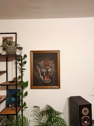 Zdjęcie oferty: Tiger, vinted, boho, olej na płótnie 