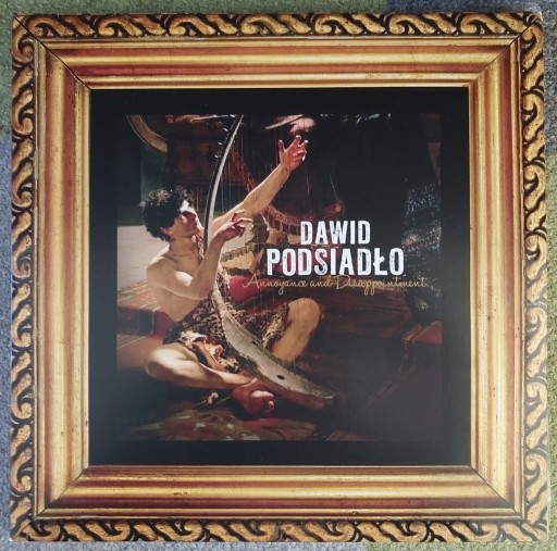 Zdjęcie oferty: Podsiadło Dawid - Annoyance and Disappointment 2LP