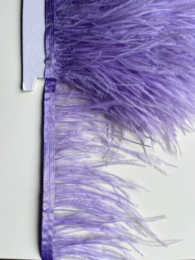 Zdjęcie oferty: pióra strusie na taśmie 1 metr