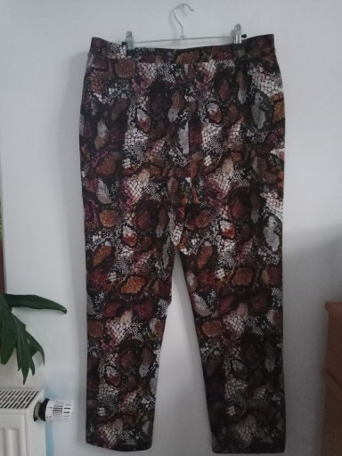 Zdjęcie oferty: Nina Leonard spodnie XL