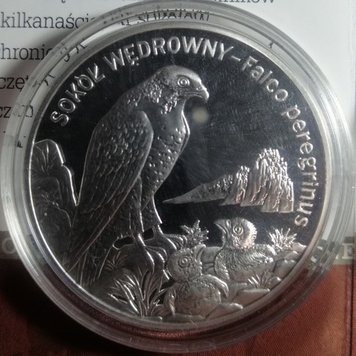 Zdjęcie oferty:  Moneta srebro Sokół Wędrowny 20 zł