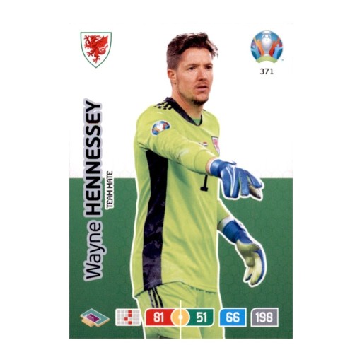 Zdjęcie oferty: UEFA EURO 2020 Team Mate Wayne Hennessey 371