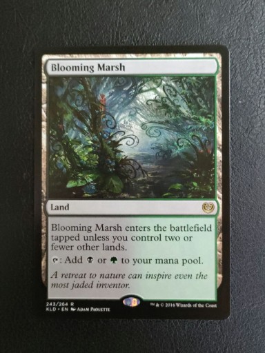 Zdjęcie oferty: Blooming Marsh karta MTG 