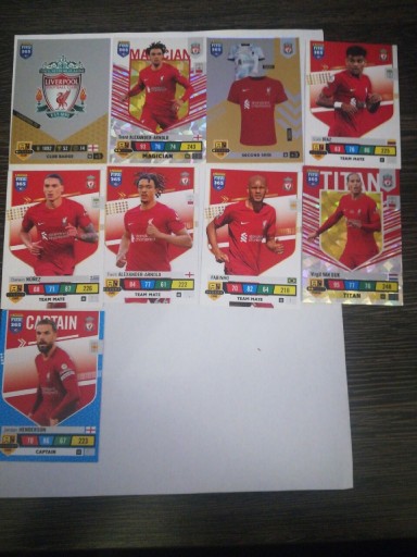 Zdjęcie oferty: Karty piłkarskie FIFA 365 Panini 2023 Liverpool 