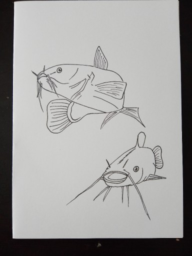 Zdjęcie oferty: Kartka z życzeniami dla wędkarza, ryby - sumy.