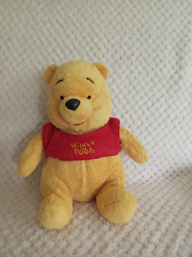 Zdjęcie oferty: Kubuś Puchatek Winnie The Pooh Maskotka