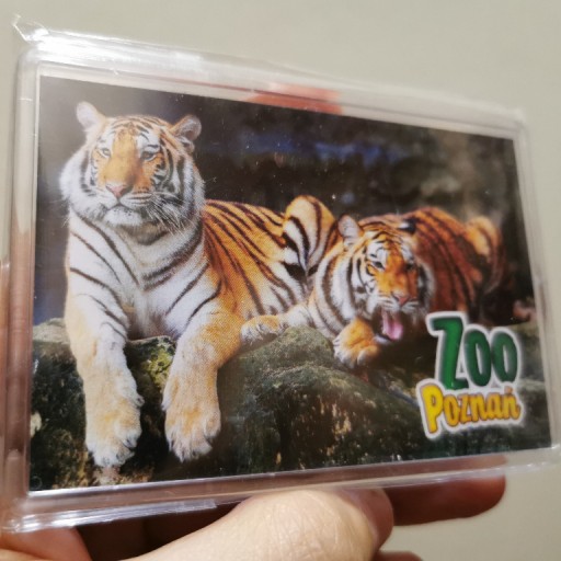 Zdjęcie oferty: Magnes na lodówkę Polska Poznań ZOO Tygrysy