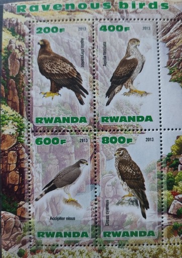 Zdjęcie oferty: Ptaki drapieżne ** Lux 4  Rwanda 2013