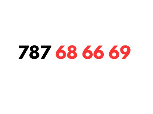 Zdjęcie oferty: 787 68 66 69 STARTER T-MOBILE KARTA SIM PREPAID ZŁOTY PROSTY ŁATWY NUMER