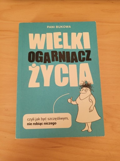 Zdjęcie oferty: Wielki ogarniacz życia 