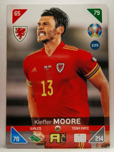 Zdjęcie oferty: EURO2020 '21KickOff nr 225 Kieffer MOORE (2)