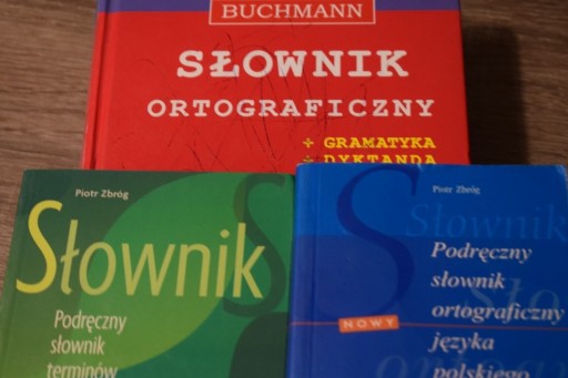 Zdjęcie oferty: Słowniki ortograficzne + gramatyka + dyktanda