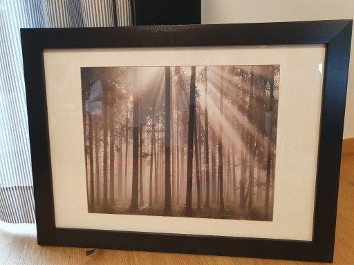 Zdjęcie oferty: LAS o świcie - Fotografia  w oprawie 78 x 58 cm