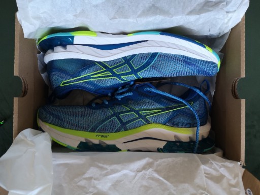 Zdjęcie oferty: Asics buty męskie gel-kinsei blast le 44.5