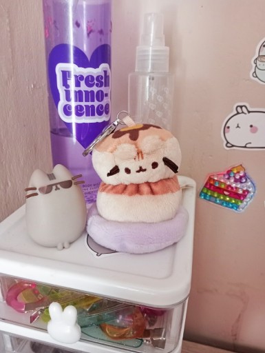 Zdjęcie oferty: Zestaw Pusheen Brelok z figurką 