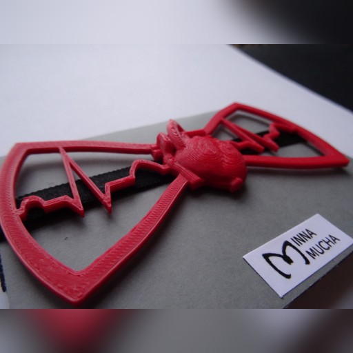 Zdjęcie oferty: mucha EKG serce medyczna druk 3D biodegradowalna