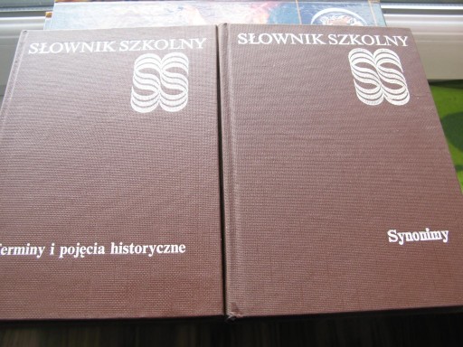 Zdjęcie oferty: SŁOWNIK SZKOLNY synonimy,Terminy i pojęcia 