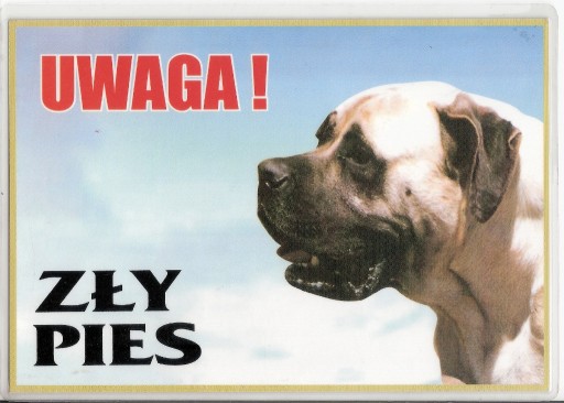 Zdjęcie oferty: Tabliczka ostrzegawcza Uwaga pies. Laminowana