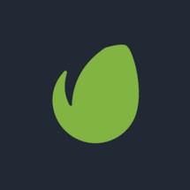 Zdjęcie oferty: Envato Elements 